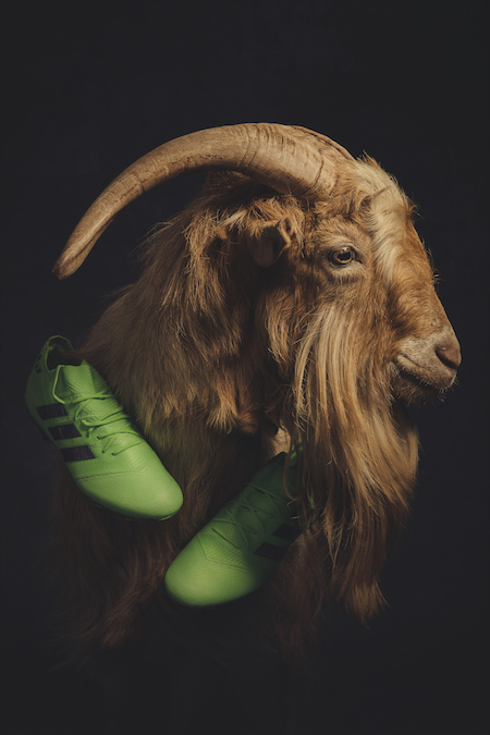 Lionel Messi et la Chèvre en images pour PAPER