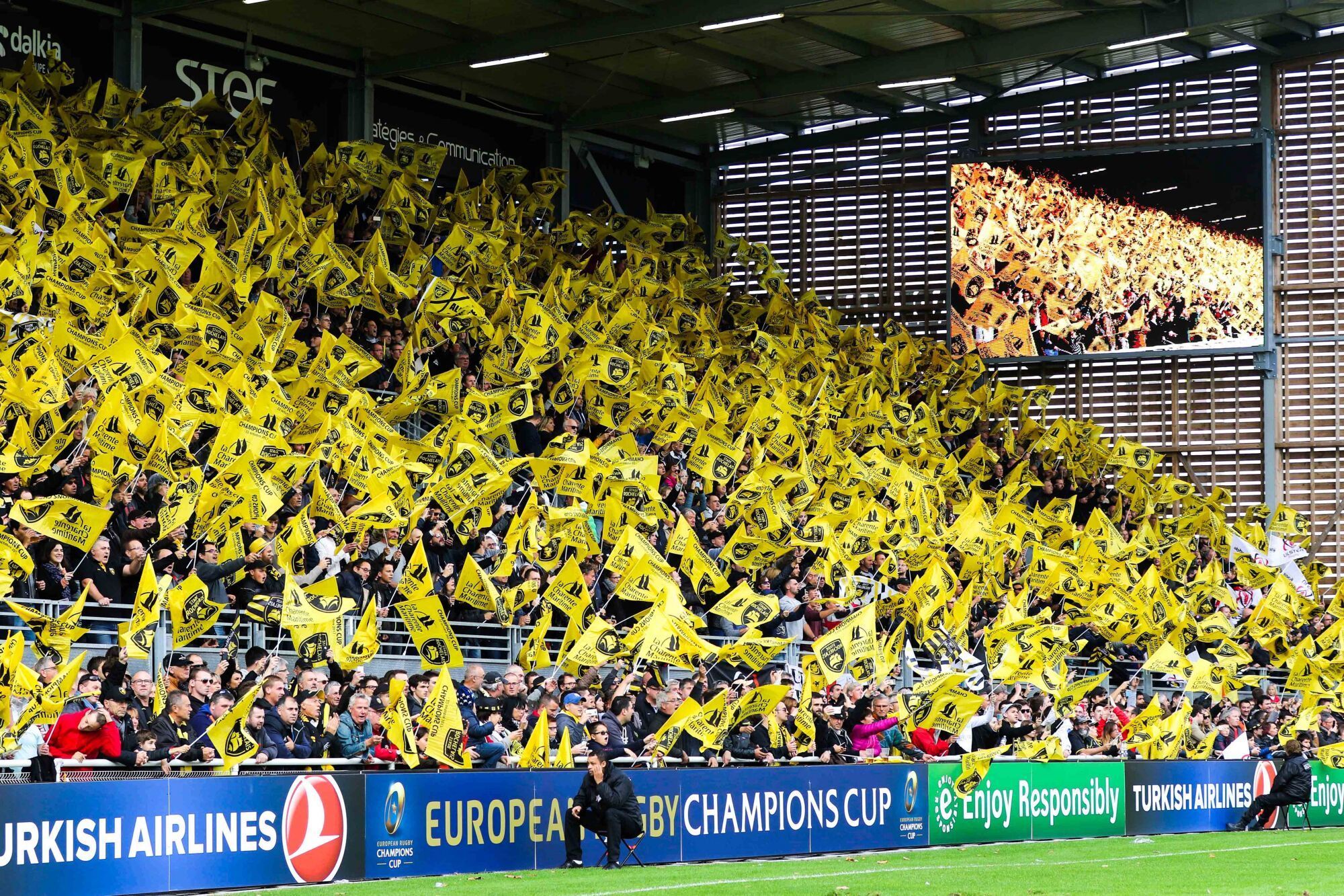 Stade Rochelais. Chiffre d’affaires en hausse et bénéfices doublés en 2024