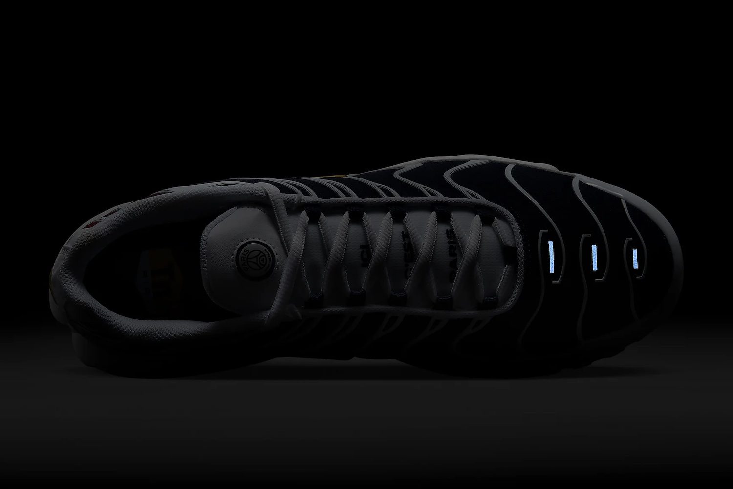 PSG Nike devoile une nouvelle Air Max Plus aux couleurs du Paris Saint Germain