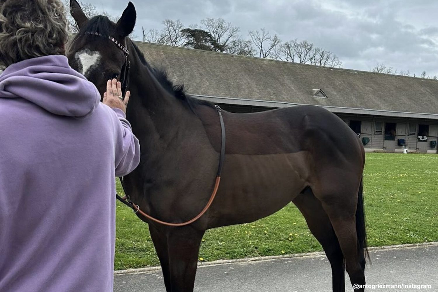 Antoine Griezmann vend 12 de ses chevaux de course
