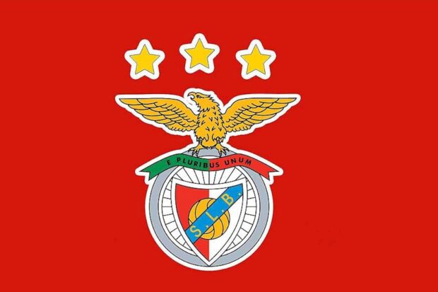 SL Benfica. Salaires, finances, sponsors, organigramme