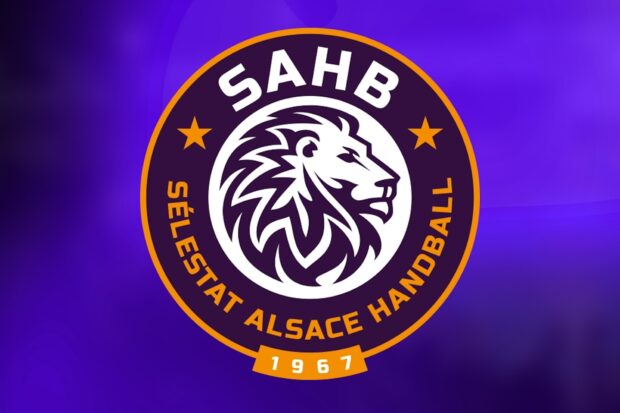 Sélestat Alsace Handball (SAHB). Salaires, finances, sponsors, organigramme