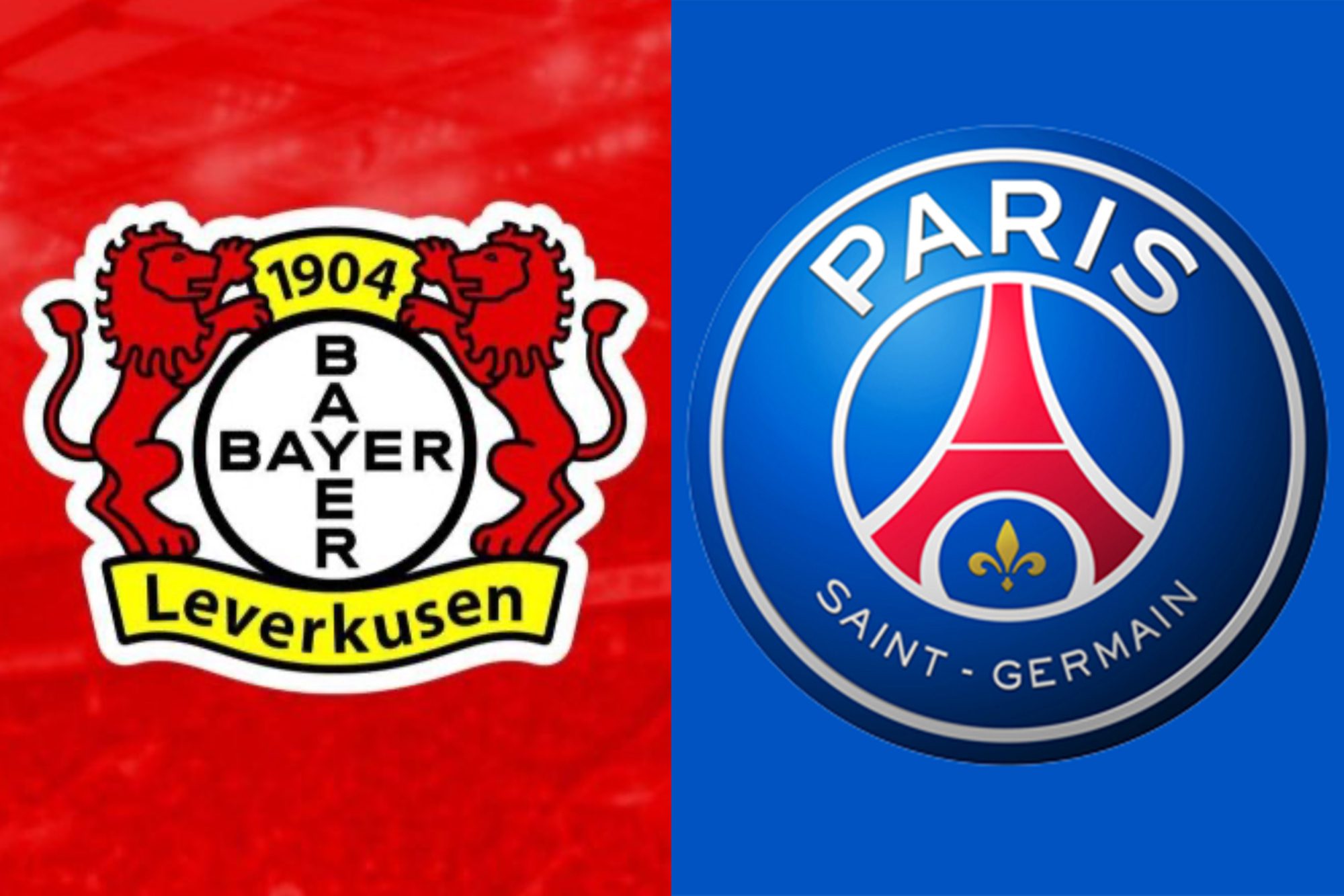 cronaca bayer leverkusen - psg