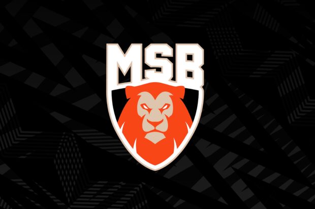 Le Mans Sarthe Basket. Salaires, finances, sponsors, organigramme