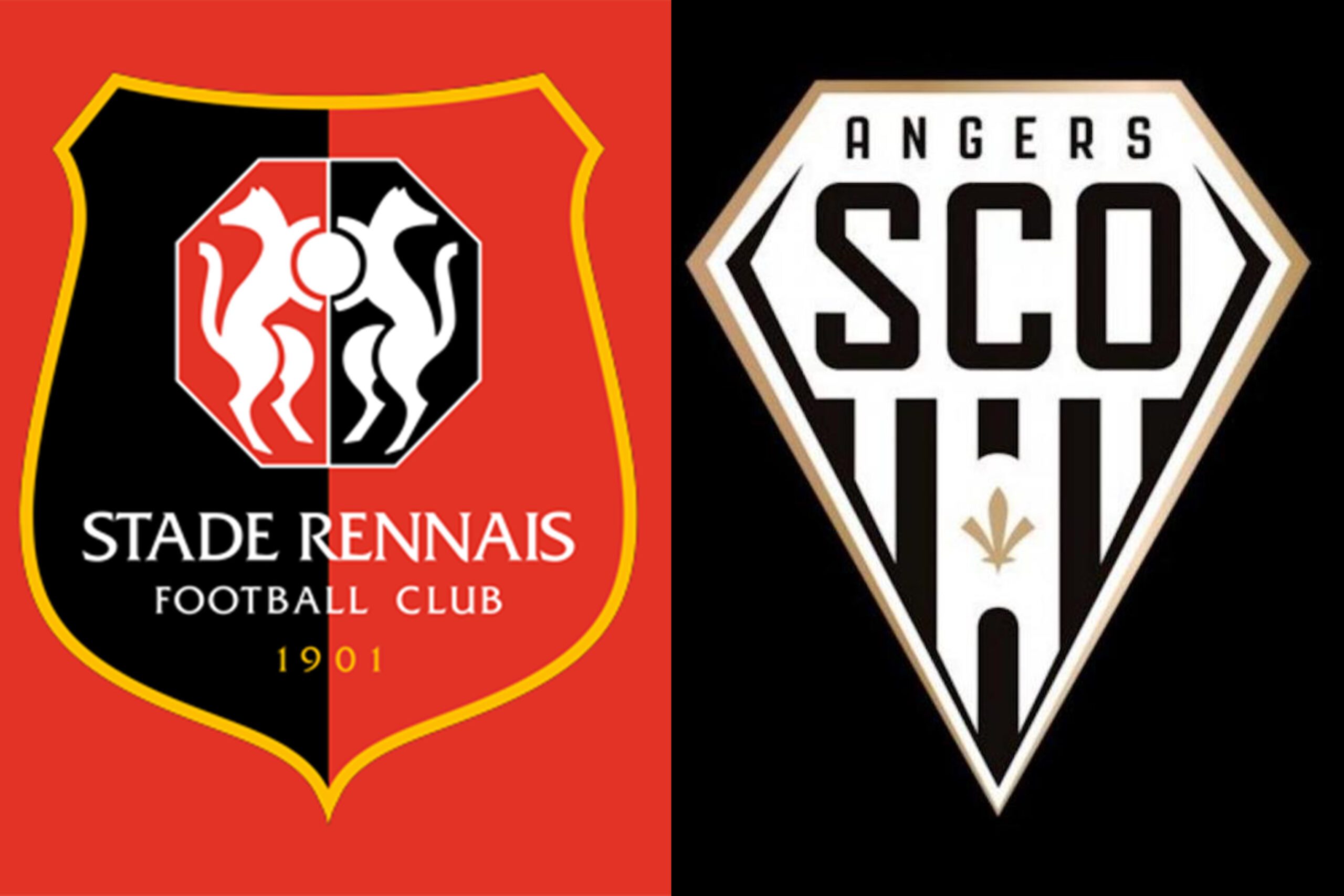 Stade Rennais – Angers SCO. Les prédictions du derby par Opta